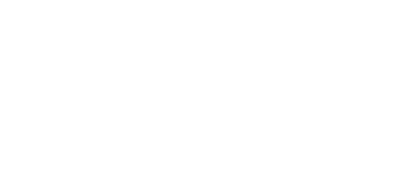 LPS - Logistica Profesional